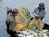 Вилковские рыбаки готовятся к перекрытию трассы