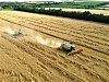 Жатва-2021: аграрии намолотили второй миллион тонн зерна