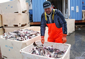 Одного разу в Гренландії