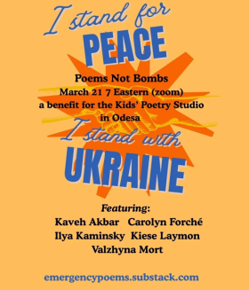 «Поезія — це надихаючий спосіб змінити ситуацію на краще...»