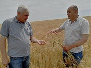 Председатель ООО «Долинское-Нова» Николай Чанев (слева) и главный агроном Николай Черня
