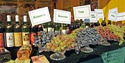 Образцы продукции Института виноделия и виноградарства им. Таирова.