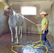 Анжела Ветколовская: «После тренировки, как и положено, в душ».