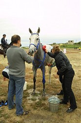 На промежуточном финише — обязательный душ