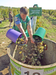 Соревнования в разгаре.