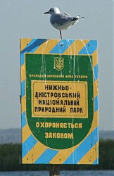 Шагреневая кожа природоохранных земель