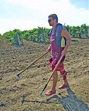  А мне одной сапки мало!