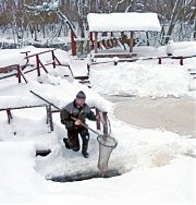 На окраине Таллинна, в помещении бывшей мельницы, расположен популярный ресторан. Летом места в нем надо бронировать заранее. Да и зимой недостатка в посетителях тут нет. Гурманов привлекает возможность полакомиться свежеприготовленной радужной форелью. На фотографии как раз запечатлен момент, когда работник ресторана достает сачком из полыньи искусственного озера аппетитную рыбину. Через пять минут он сделает филе, а еще через полчаса на стол подадут форель горячего копчения