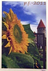 Наталья Андриевская. Москва