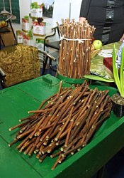 Из этих, на вид невзрачных ростков рождается прекрасная виноградная лоза