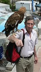 Владимир Альперин