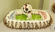 Торт с символикой Евро-2012 занял первое место