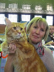 Хани Бир — суприм-чемпион