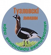 Это краснозобая казарка на проекте эмблемы парка, предлагаемой Украинским обществом охраны птиц