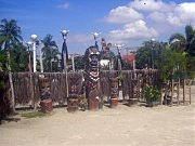  Вокруг одна экзотика