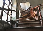 Александр Синельников. «Обитатель»