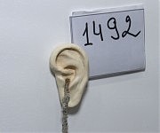 Фрагмент работы Ирины Бережко «Katharsis ante Exodus»