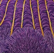 Ольга Токаренко, «Лаванда»