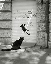 Александр Синельников, «А как похож»