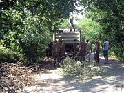 Загружают грузовики буреломом