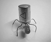 Работа Максима Шкоропадо «Жук»