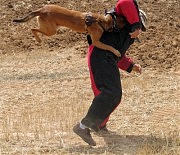 После такой атаки террорист, как правило, оказывается на земле