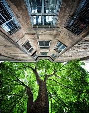 Юрий Бершадский (Одесса) — второе место в секции «Город» за серию работ «Лицом вверх»