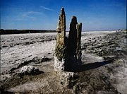 «Архитектура Куяльника»