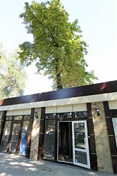 Для сбережения зеленых насаждений на площади при строительстве некоторых павильонов стволы деревьев оставлены внутри