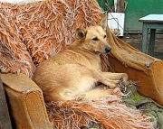 Хочешь — и в кресле можешь поваляться