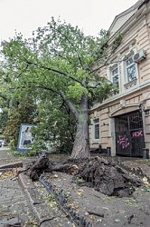 Фото Олега Владимирского