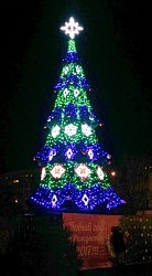 Елка на площади Бориса Деревянко