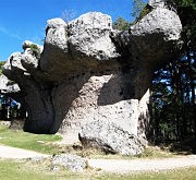 «Грибы» Куэнки