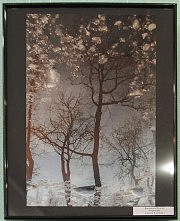 Наталья Кардовская. «Отражение»