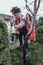 Обряд священнодействия с виноградной лозой