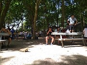 Вараны — хозяева Симиланских островов. Их обижать нельзя