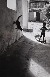 «Показательные выступления»