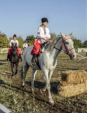 Начинается показательное выступление по конкуру