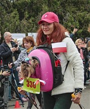 Скандинавская ходьба не возбраняет взять на дистанцию любимую собачку