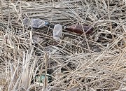 У самой кромки воды — кучи мусора. Ну, что мы за люди?