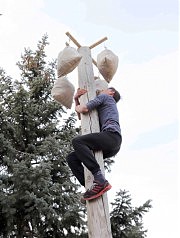 Достань приз!