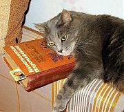 «Книголюб» (Александр Мусти. Одесса)