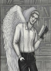 Яна Козакова. «За книгой»