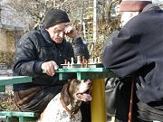 Сергей Осташко. «Собакой ходи!»