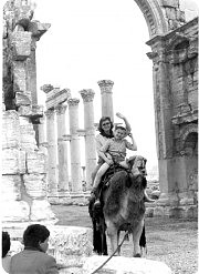 Привет из Пальмиры