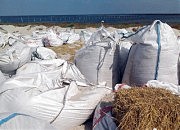 Перекрытие прорвы на 24-м км