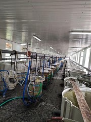 Рыбопитомник: расти рыбка большая!