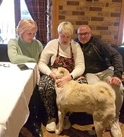 И оставленная хозяевами собака Белка нашла приют в ресторане «У Ангеловых»