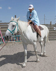 Изя — добрый конь