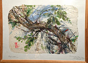 Работа Натальи Пахомовой-Власовой